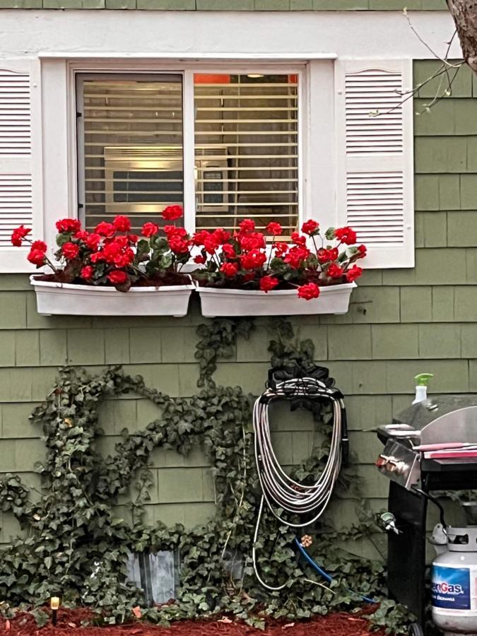 Villa Cozy Cape Cod *