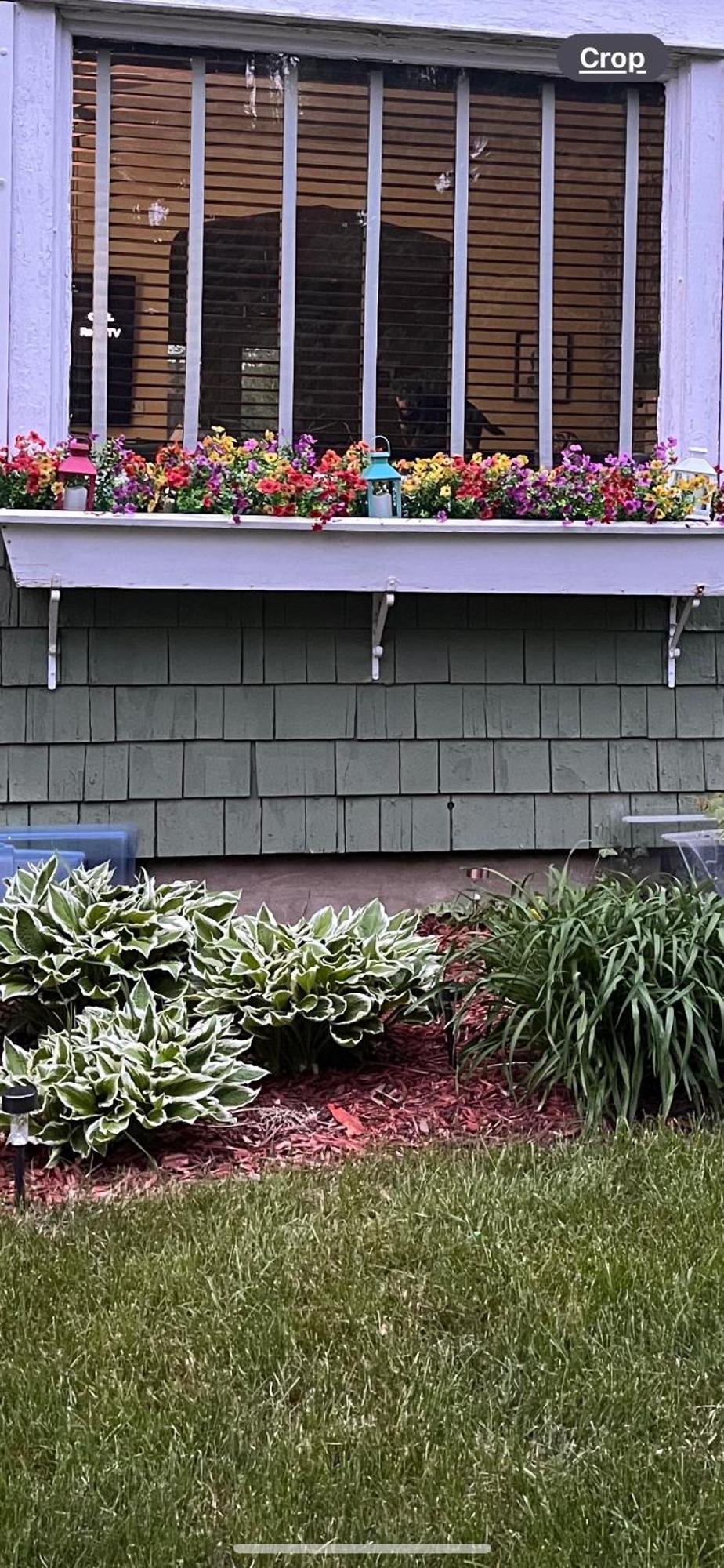 Cozy Cape Cod Villa Grand Rapids