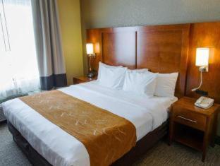 Hotel Comfort South 3*