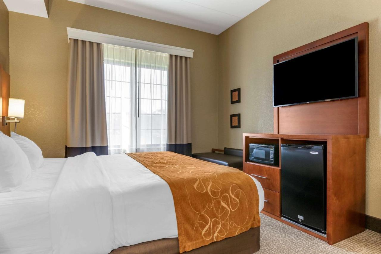 Hotel Comfort South