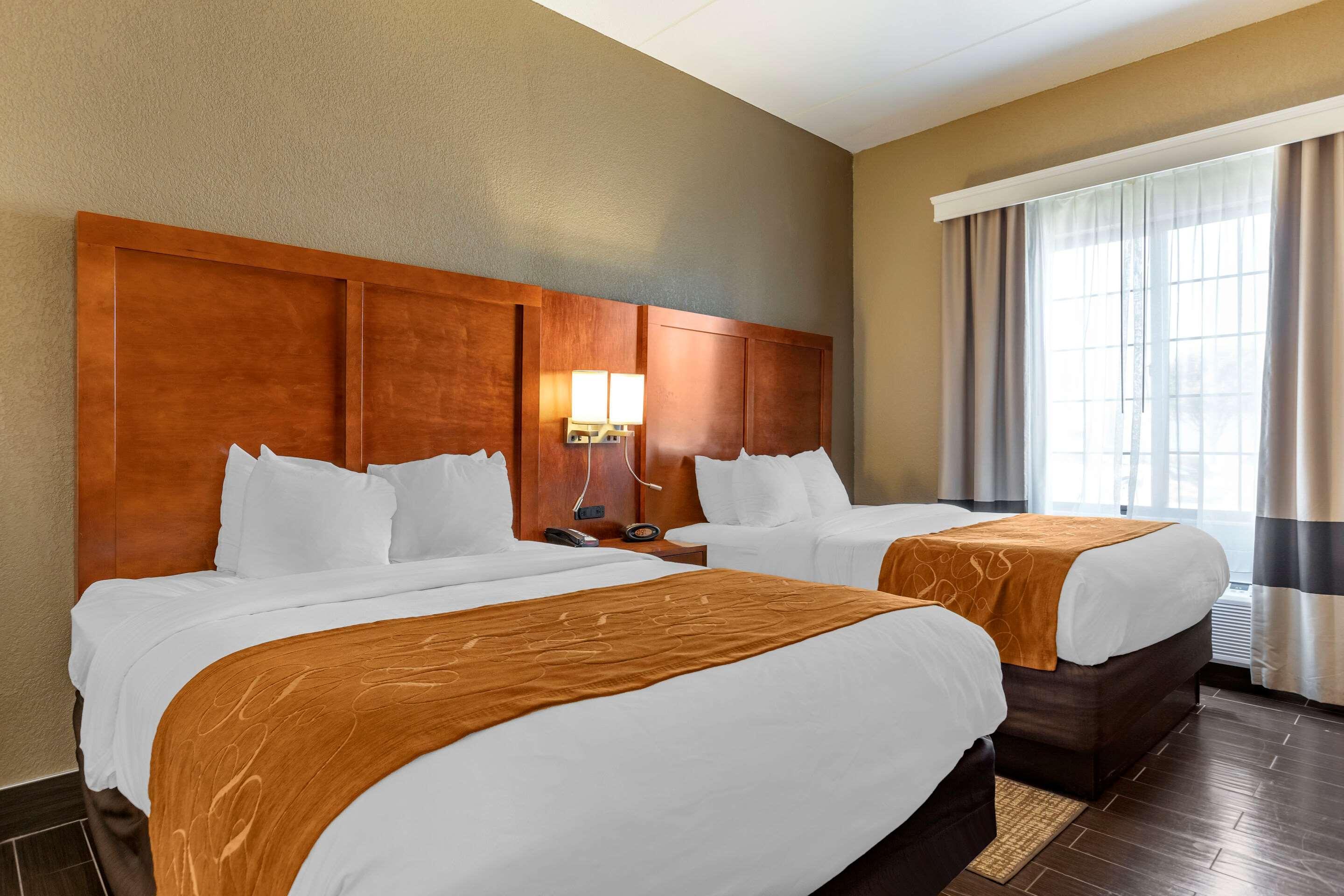 Hotel Comfort South