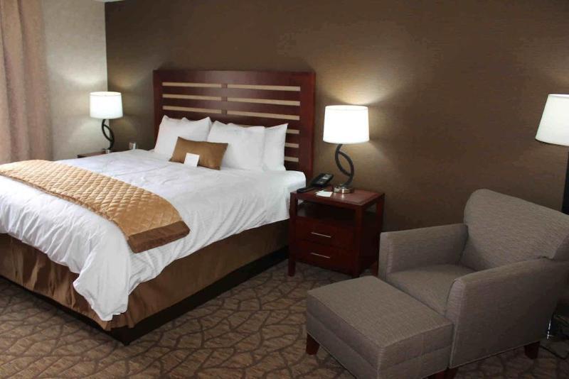 Wyndham Garden Airport 3* Grand Rapids