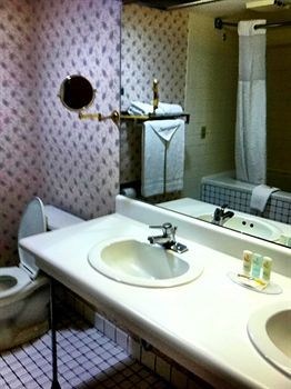 Hotel Wyndham Garden Airport 3*